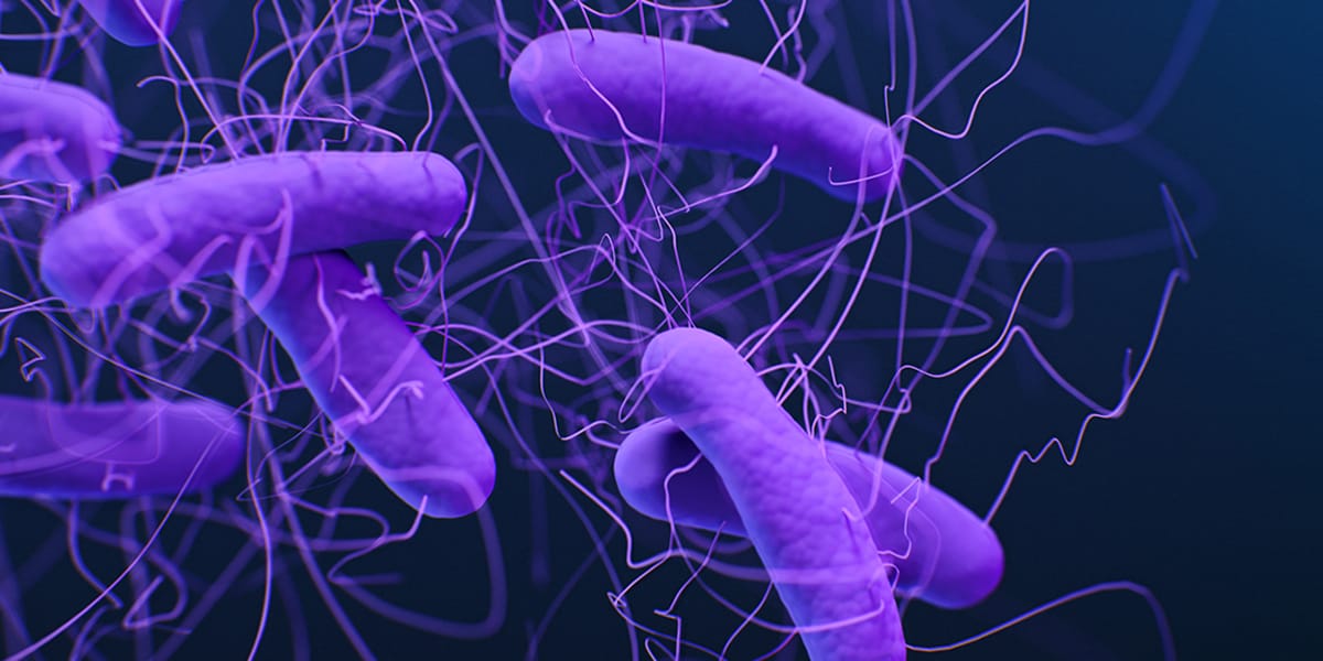 C. diff is dangerous not only because of its symptoms, but because of how it behaves in an environment.